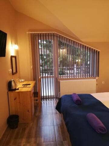 Фото номера Двухместный номер с 1 кроватью Гостевой дом Guest House Edelweiss г. Говедарци 4