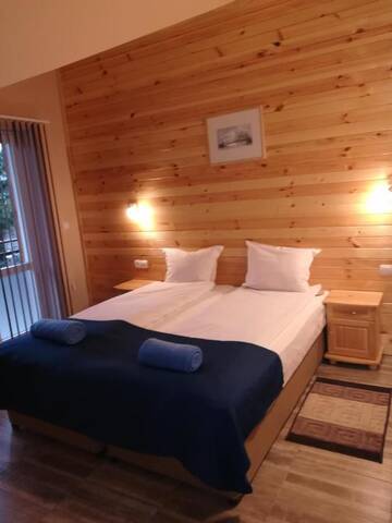 Фото номера Двухместный номер с 1 кроватью Гостевой дом Guest House Edelweiss г. Говедарци 10